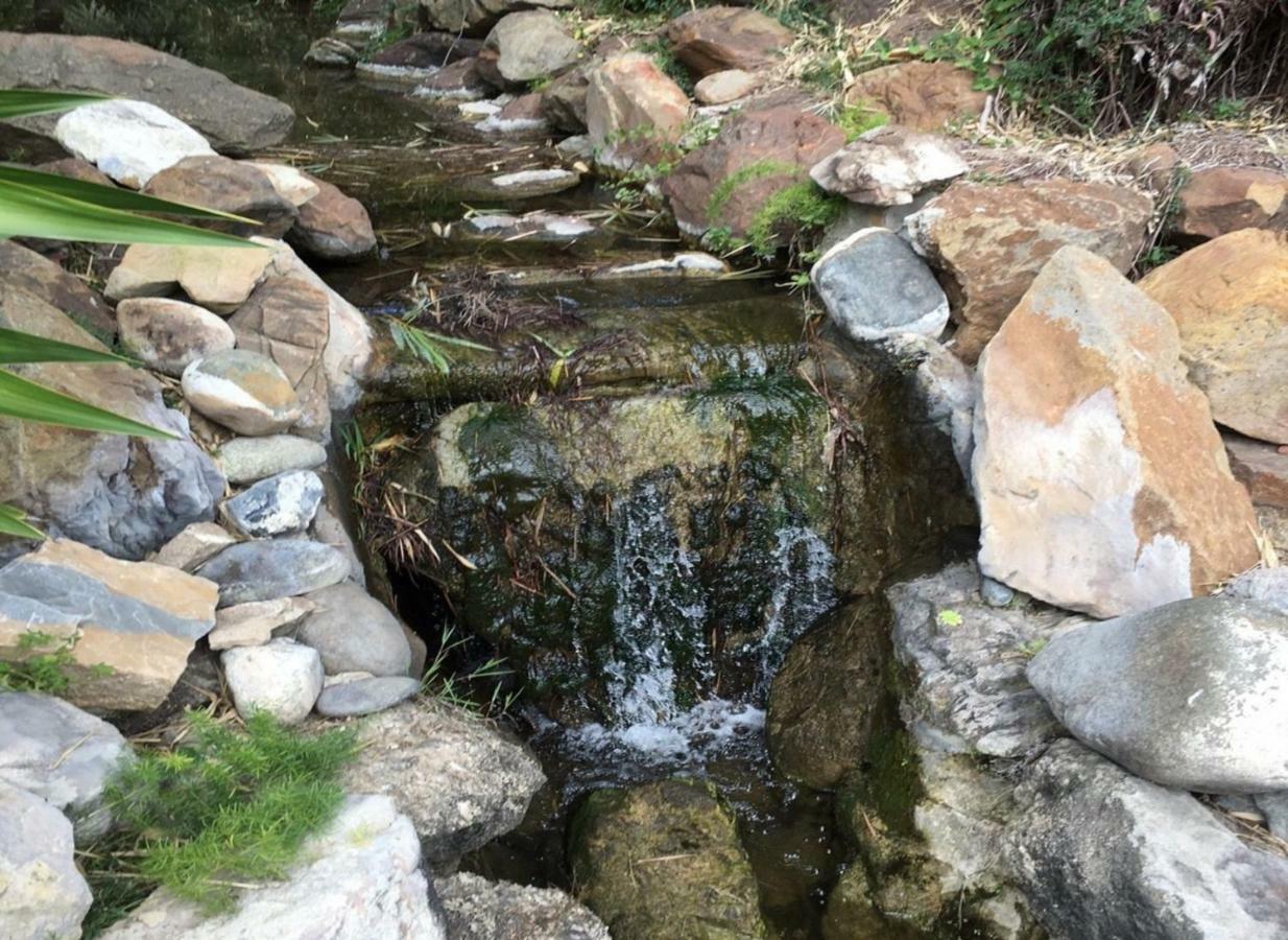 Jardines De Las Golondrinas Marbella Buitenkant foto